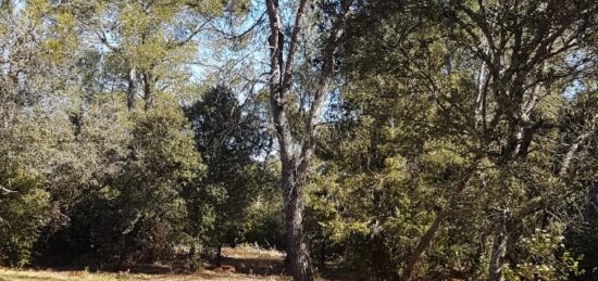 Terrain à bâtir à Nîmes, Occitanie