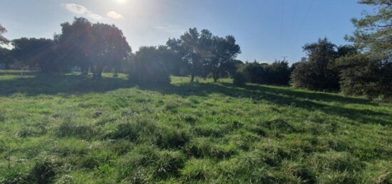 Terrain à bâtir à Saint-Siffret, Occitanie