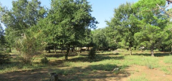 Terrain à bâtir à La Calmette, Occitanie